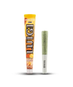 Banana Gelato Fattone luigi pre rolls fattone fattone luigi live resin liquid diamonds luigi disposable review luigi cart luigi live resin liquid diamonds luigi 2g luigi 2g disposable luigi carts luigi dispo luigi carts disposable luigi disposable luigi cart weed packaging