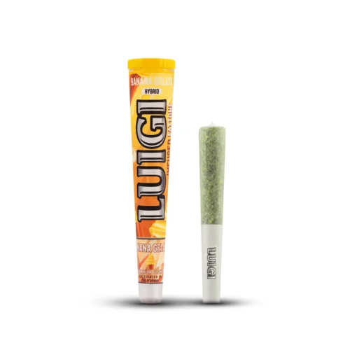 Banana Gelato Fattone luigi pre rolls fattone fattone luigi live resin liquid diamonds luigi disposable review luigi cart luigi live resin liquid diamonds luigi 2g luigi 2g disposable luigi carts luigi dispo luigi carts disposable luigi disposable luigi cart weed packaging